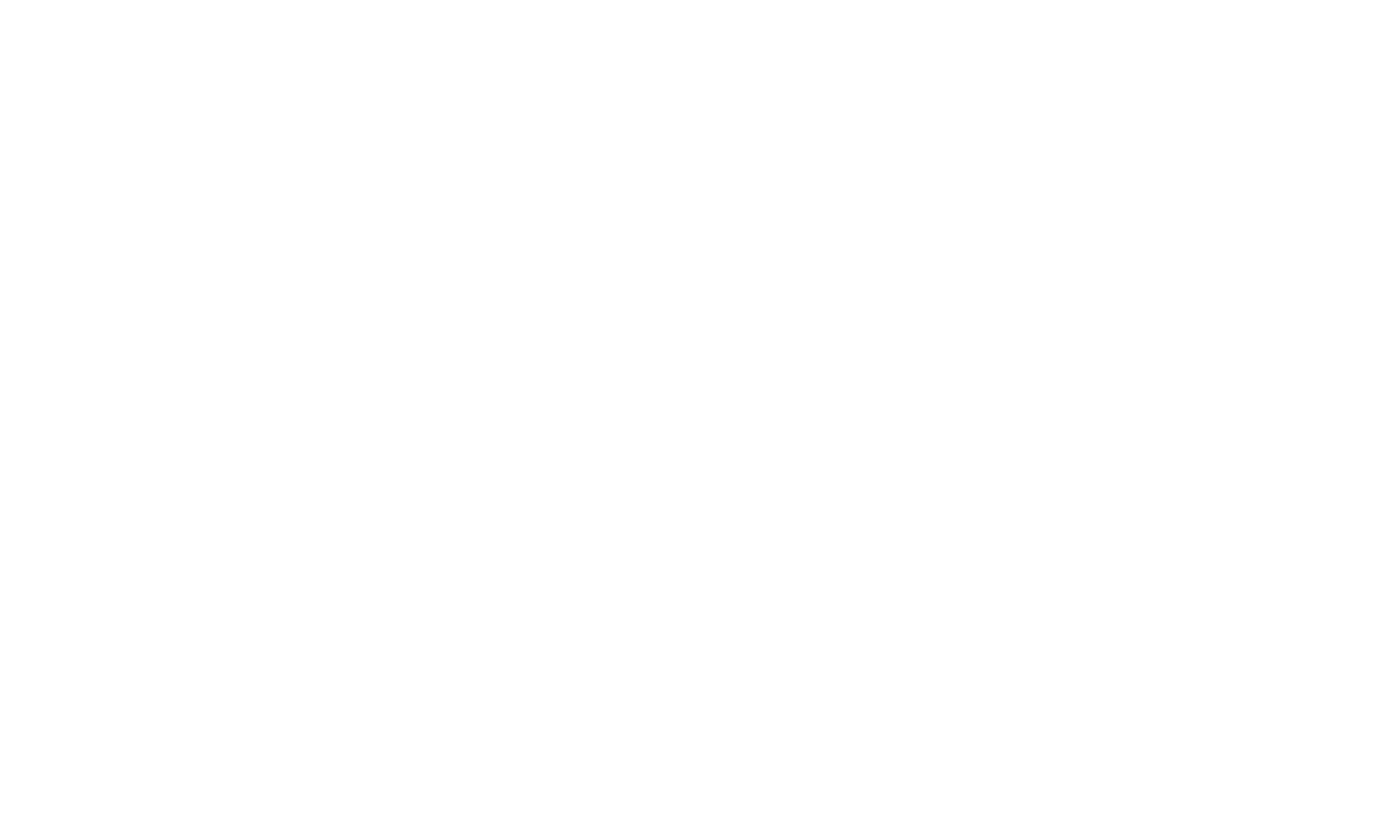 logo dm vastgoedexpert wit